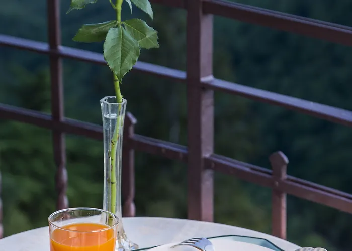 Al Borducan Boutique (adults Only) 4* Varese